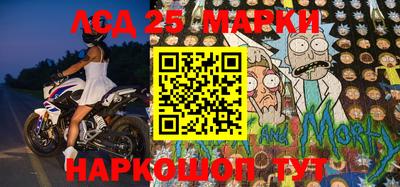 молекула духа Будённовск